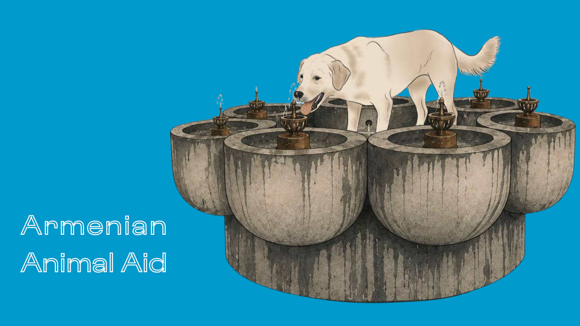 Armenian Animal Aid